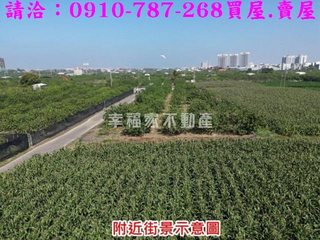 麻豆農地-3