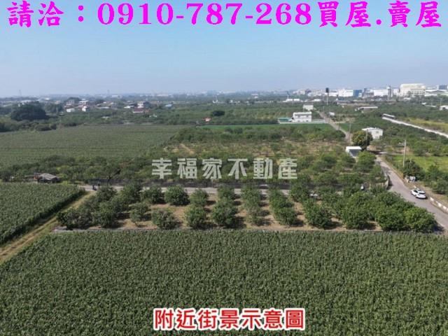 麻豆農地-7