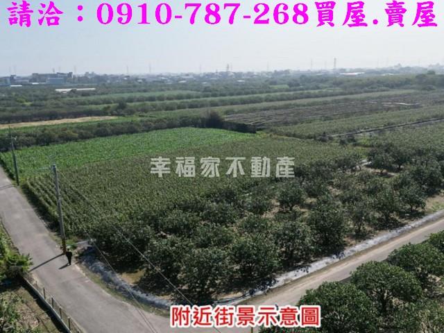 麻豆農地-8