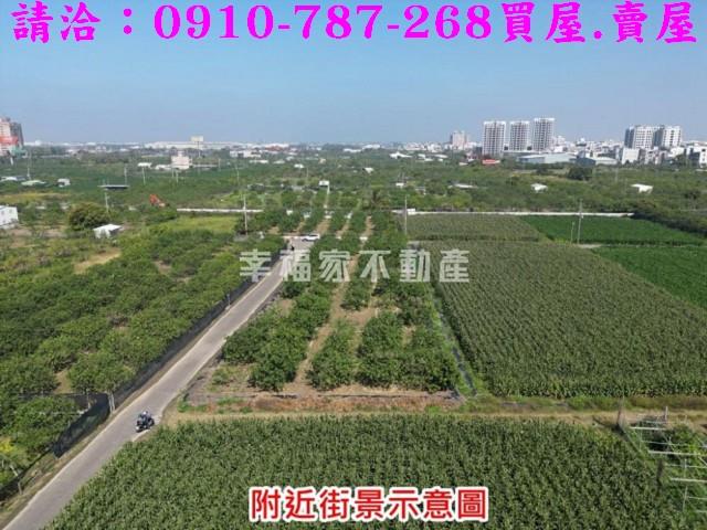 麻豆農地-9