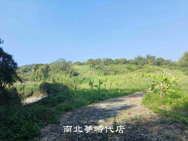 玉井農地-15