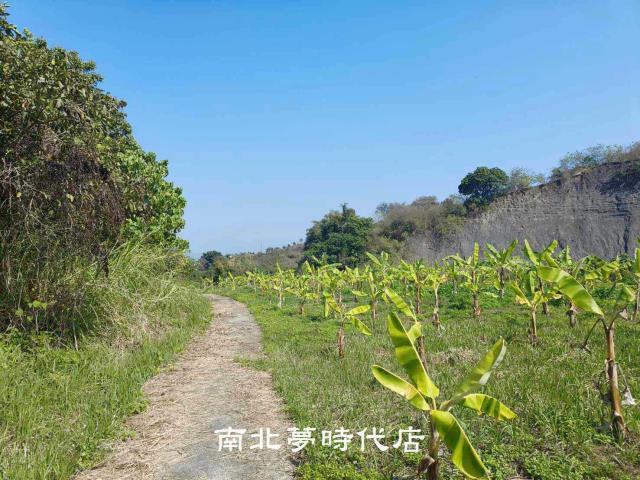 玉井農地-9