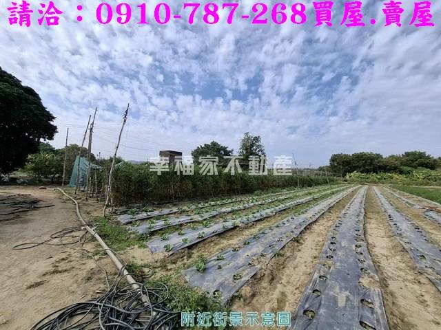 玉井農地-10