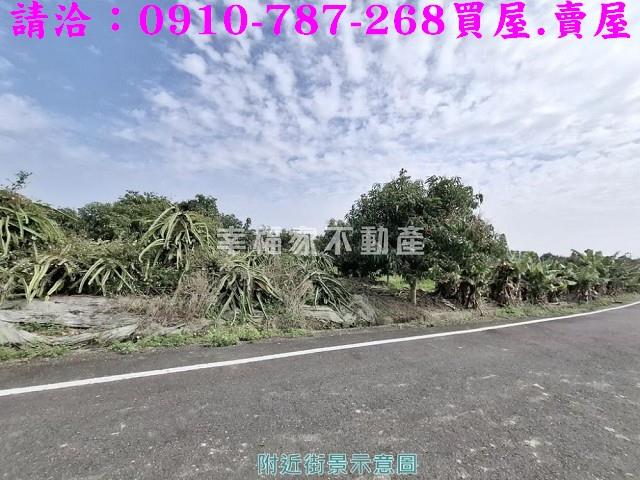 玉井農地-11