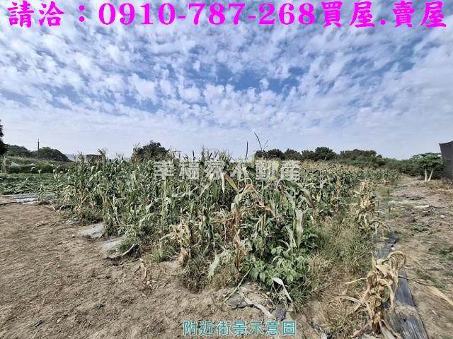 玉井農地-12