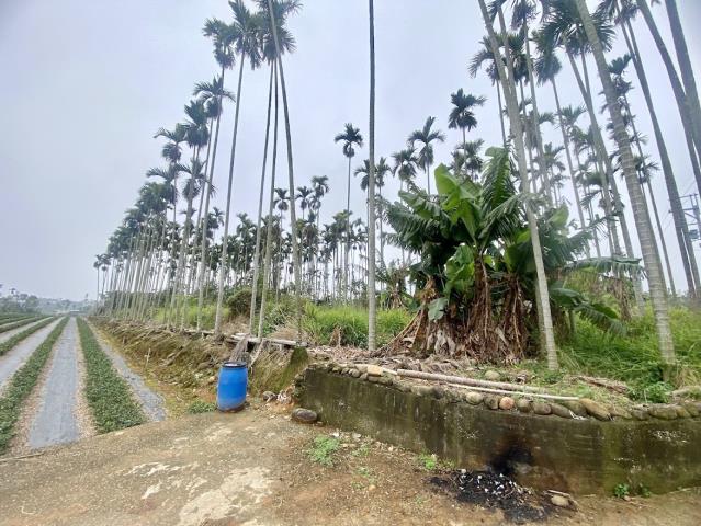 名間農地-1
