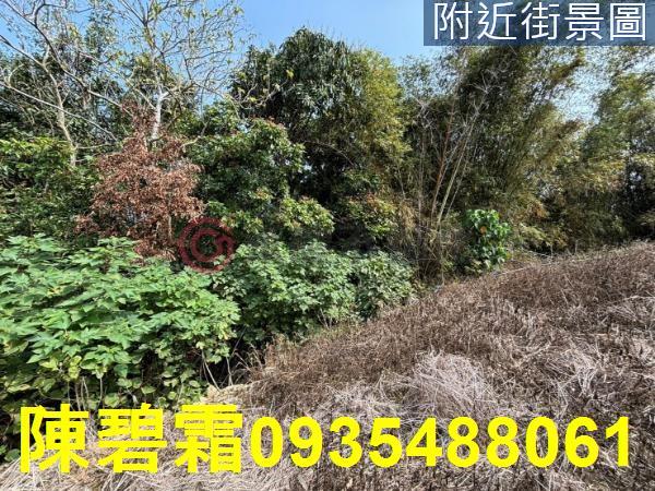 台南大內農地-1