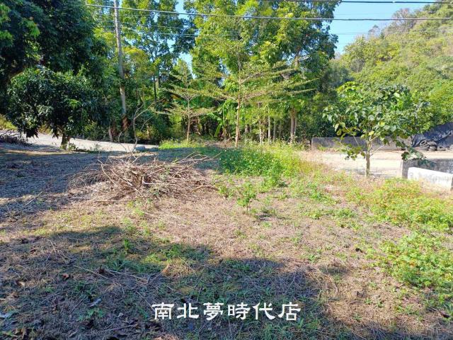 台南楠西山坡地-4