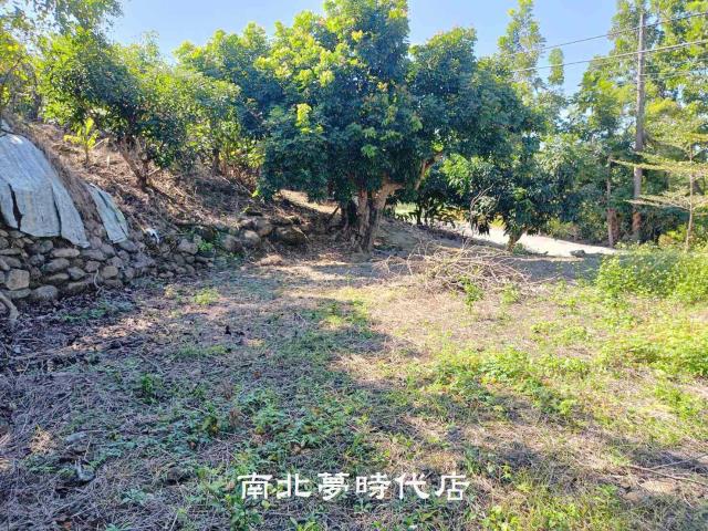 台南楠西山坡地-6