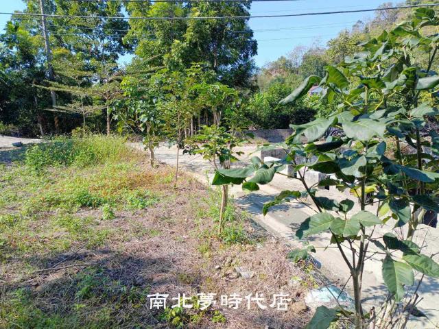 台南楠西山坡地-7