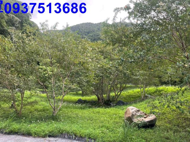 宜蘭員山山莊-14