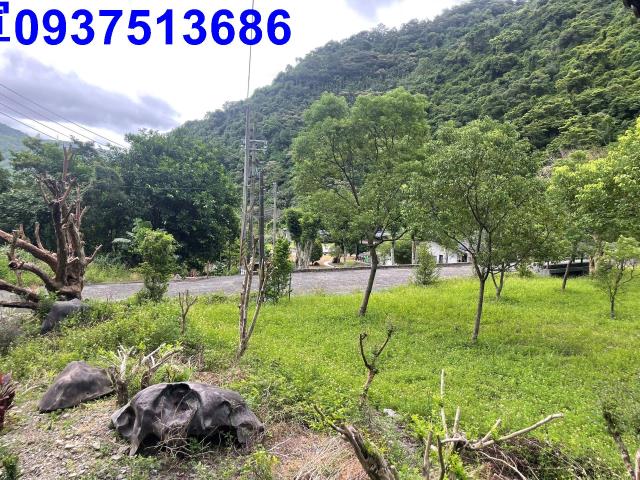 宜蘭員山山莊-2