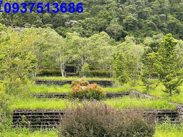 宜蘭員山山莊-4