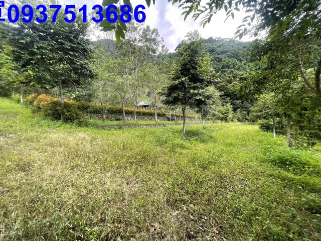 宜蘭員山山莊-9