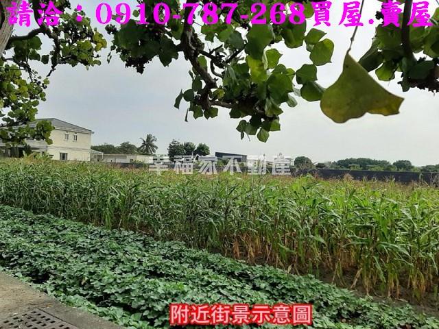 安南農地-5