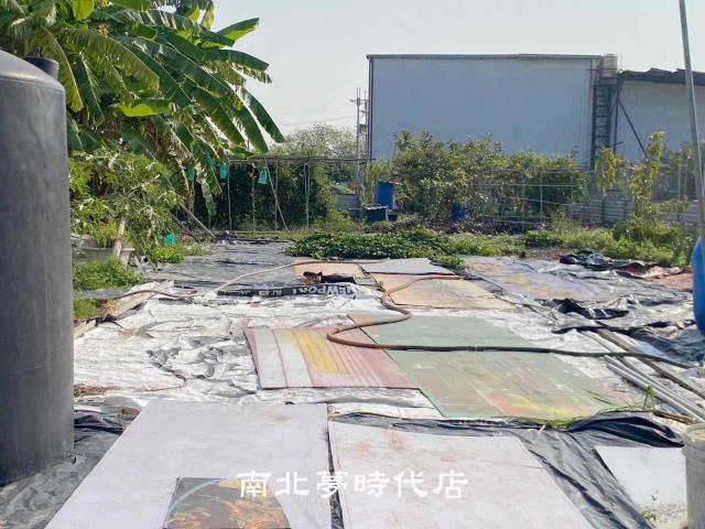 台南南區農地-10