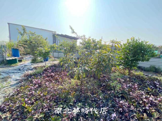 台南南區農地-5