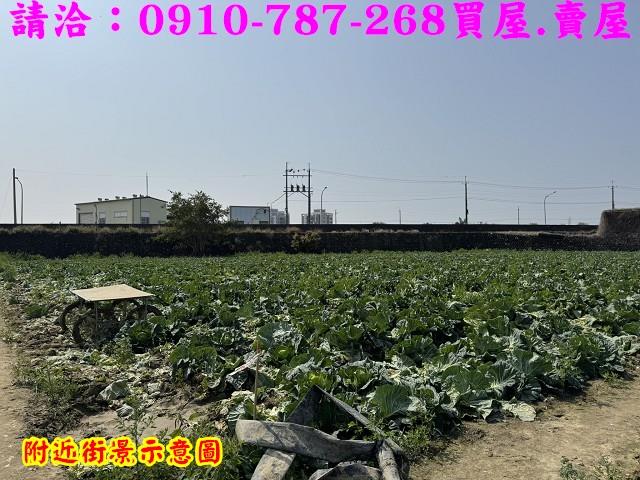 新市農地-15