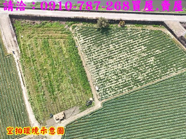 新市農地-5