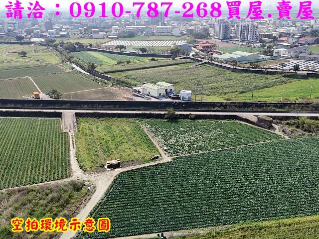 新市農地-8