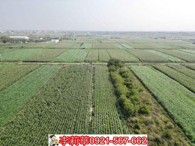 佳里農地-10