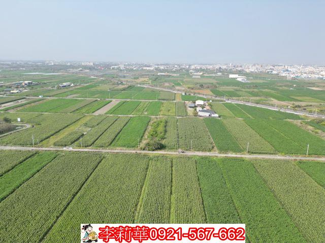 佳里農地-11