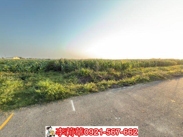 佳里農地-2