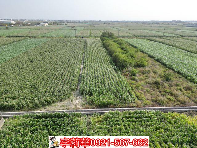 佳里農地-5