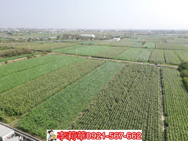佳里農地-6