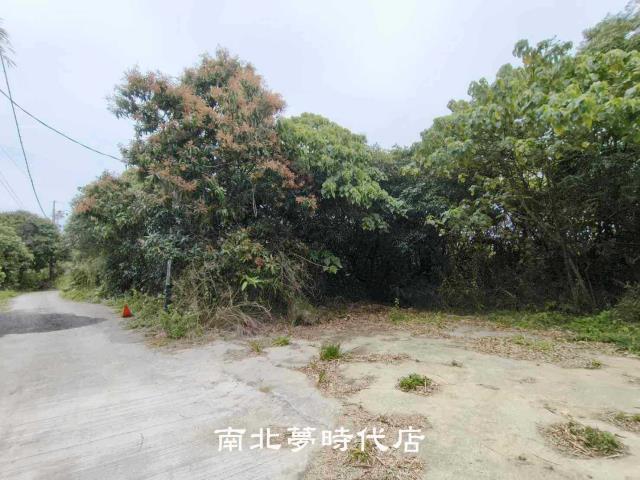 台南新化農地-3