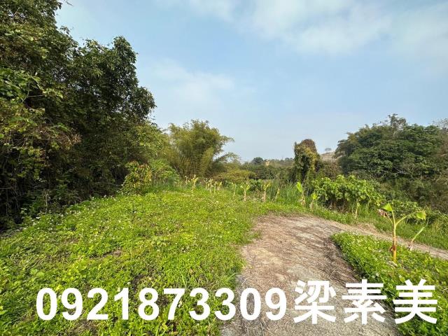玉井農地-4