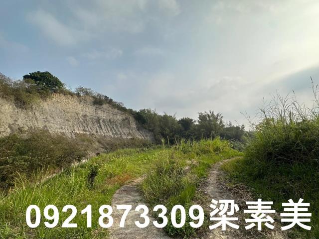 玉井農地-5