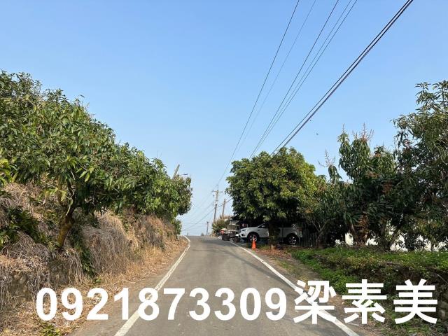 玉井農地-9