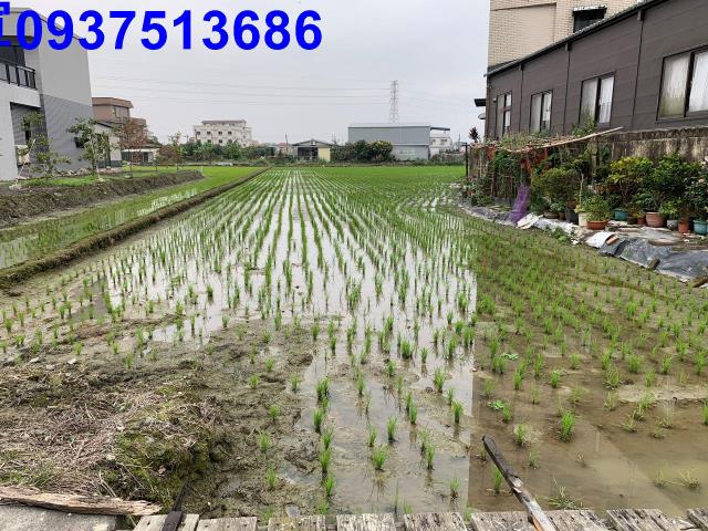 宜蘭冬山農地-4