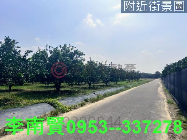 台南農地-10