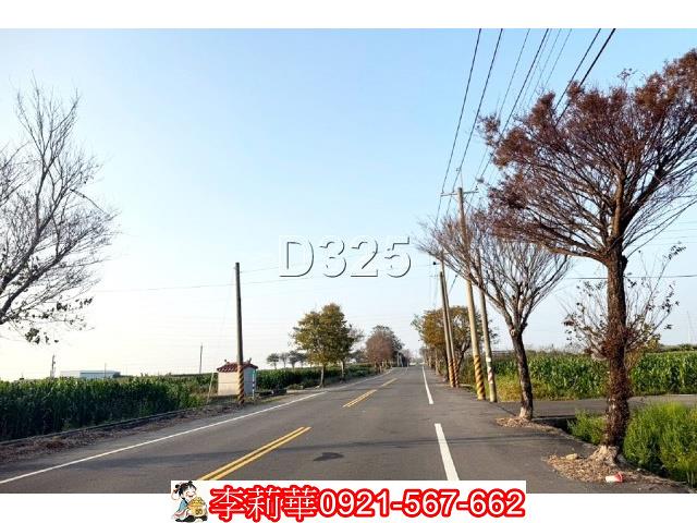 台南新營農地-1