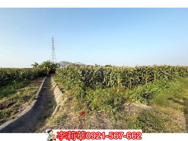 台南新營農地-7