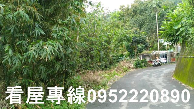 中和農地-11