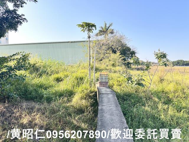 仁德農地-2