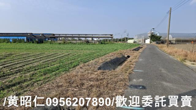 佳里農地-11