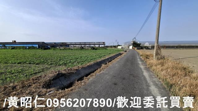 佳里農地-1