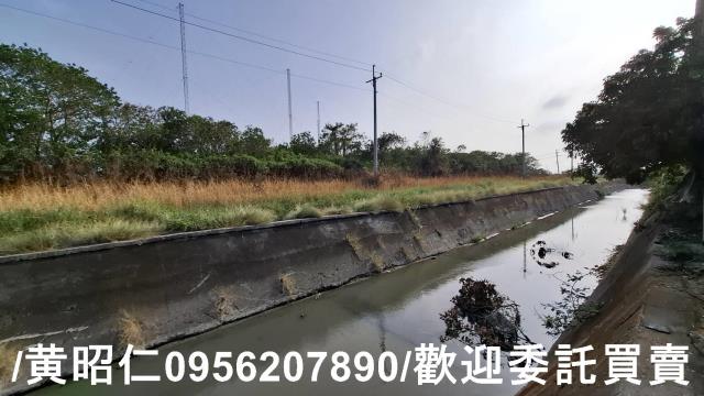 佳里農地-4