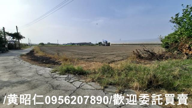 佳里農地-5