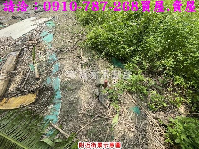 台南建地-9