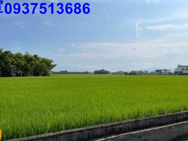 宜蘭礁溪農地-1