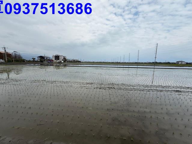 宜蘭壯圍農地-2