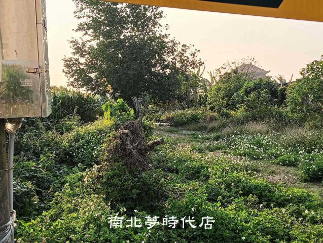 佳里農地-1