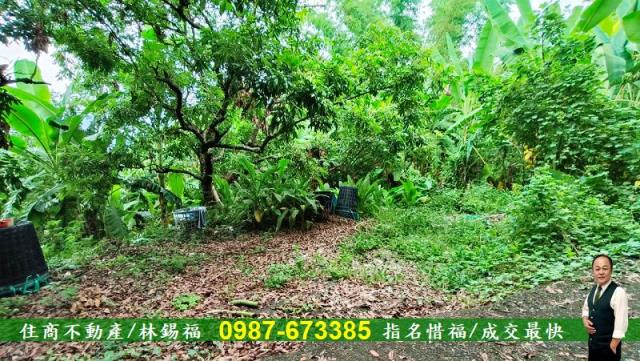 台南農地-2