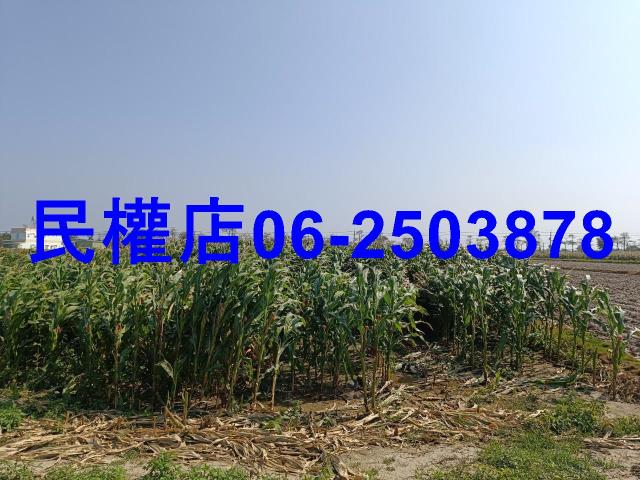 台南學甲農地-6