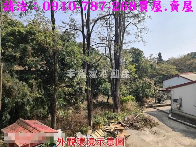 玉井農地-15